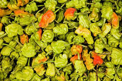 《心之眼》开发商对灾难首发感到“心碎”而不是“道歉” 补丁计划公布